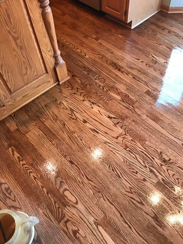 Recently stained and finished hardwood kitchen floor with honey-colored stain.