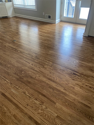 Recently stained and finished hardwood family room floor with moderate stain.